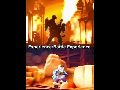 Pyro Vs Mei