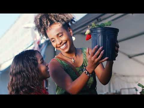 Reasons for Hope: Climate Change