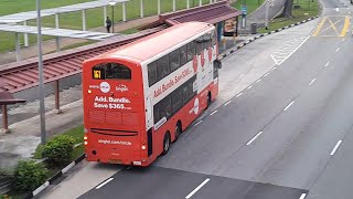 (Singtel Circle Full Body Advertisement) SBS3022T(SWDEP 102) On Service 161 At Woodlands Avenue 2