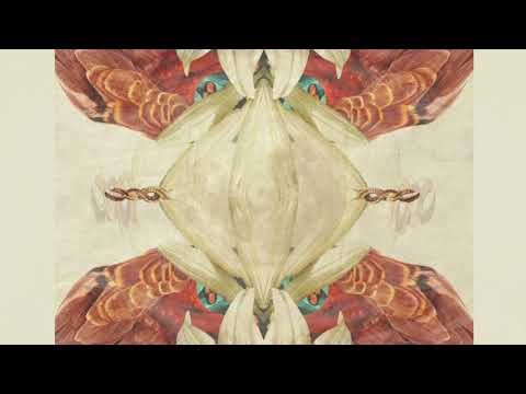 SavaBorsa - Veled Egy Vagyok Ft. Julia Chants