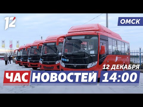 Новые автобусы / Снегопад / Задержали вандала. Новости Омска
