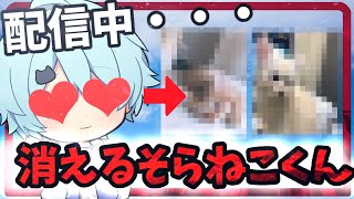 【きみゆめ】配信中に猫と遊び始めるそらねこくんwww【そらねこ】【そらねこ切り抜き】【ラメリィ】【のっき】【かもめ】