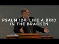 Psalm 124: Like a Bird in the Bracken | Douglas Wilson