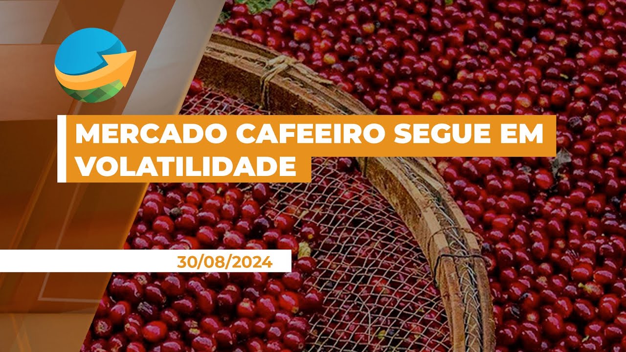 Mercado cafeeiro segue em volatilidade e altas temperaturas preocupam produtividade da safra 2025