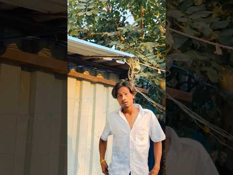raj singh panwar navaz sar v...