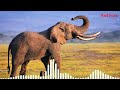 Elephant Sound Animal Sounds Animalsounds Elephant Ringtone Animal Sounds Ringtones Tones Red Foxx