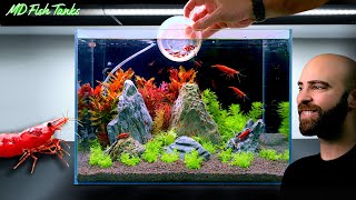 Making SHRIMP MOUNTAINS | Nano Aquarium For Neocaridina Shrimp