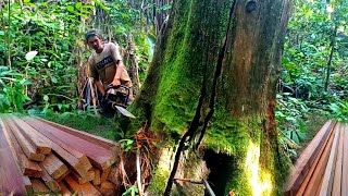 Download lagu TERBENGKALAI RATUSAN TAHUN!! SEPERTI EMAS MURNI YANG BERMOTIF KAYU SIAP JADI BARANG SPESIAL mp3