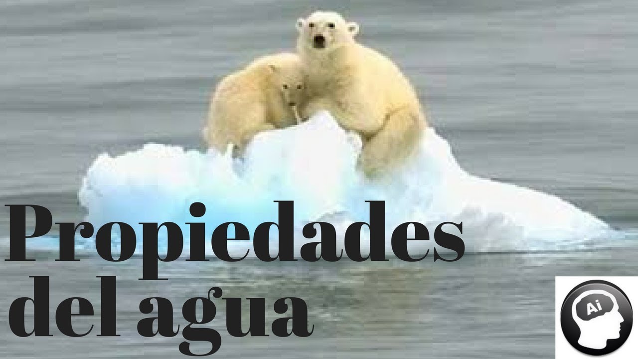 Propiedades del agua, densidad, punto de fusión, ebullición, calor específico