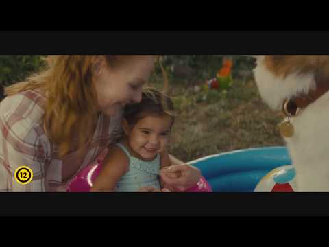 Egy kutya négy útja trailer