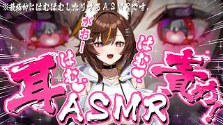 【耳責めASMR/黒3dio】耳から沼るおまじない🦊【東雲めと/AVtuber】