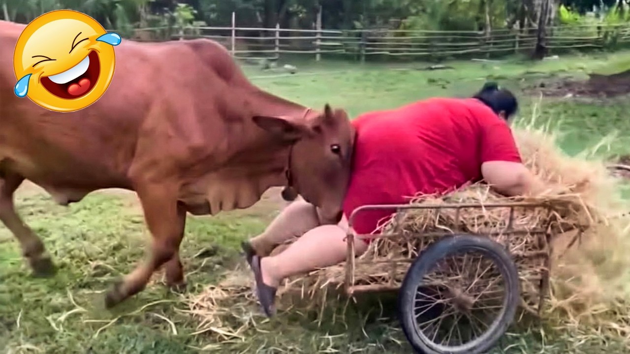 Best Crazy Fails 😂 Funny Moments Compilation | Viral Disasters