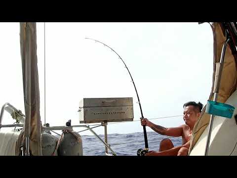 North Pacific Ocean crossing Trawling fishing while sailing