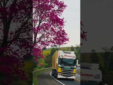 PR-092 Joaquim Távora, PR #parana #truck #scania