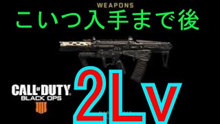 【CODBO4】MADDOX入手まで後2Lv