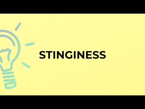 What is the meaning of the word STINGINESS?
