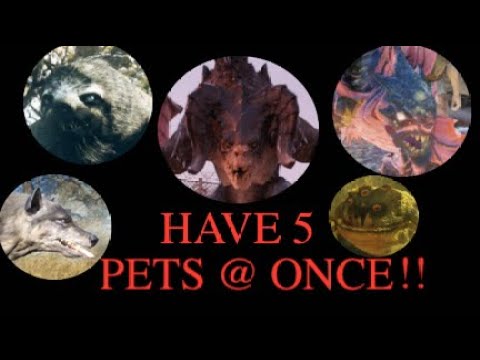 2024 HAVE 5 TAME ANIMALS AT ONCE Have 5 tameable pet "LONG VERSION LIVESTREAM" Fallout 76 guide FO76