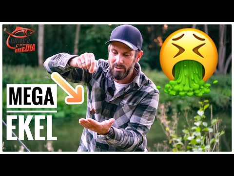 NACHTANGELN mit EKEL-KÖDER - GEHEIMTIPP für alle FISCHE? Wer hat DAMIT schon GEFANGEN?