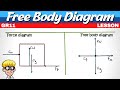 Grade 11 Newton Laws Free Body And Force Diagram