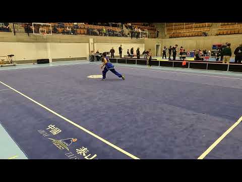➡️ Nan QuanLouis Swiss Wushu National Championships 2024
