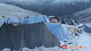 Himalayan life into the snow ❄️ yarsagumba