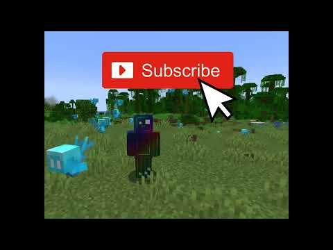 Everything to know about the allay! #Shorts