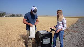 H2 Stationary GrainGage | An Affordable Solution for Off-Combine Grain Measurement