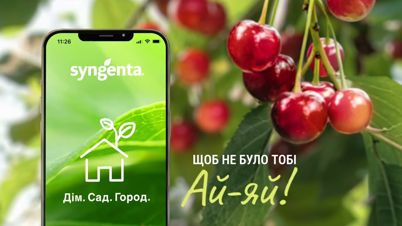 Syngenta