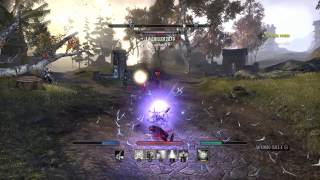 Eso ledgendary sorcerer survival at all cost fargmetor build in action