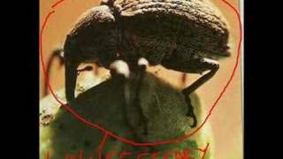 Napalm Death - Necessary Evil (interpretation)