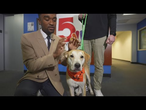 Sammy Stars: Dec. 5, 2025 - YouTube