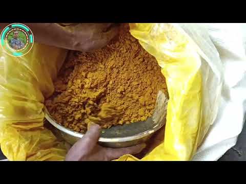 Amba Haldi Powder Aama Haldi Powder Kasturi Haldi Powder Curcuma Amada Wild Turmeric Powder