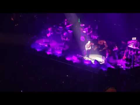 Dave Gilmour {Legend } Live At The Albert Hall . Faces Of Stone