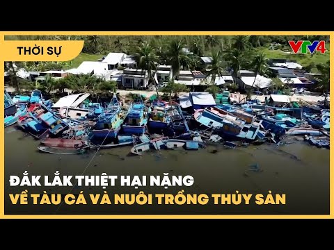 dak-lak-thiet-hai-nang-ve-tau-ca-va-nuoi-trong-thuy-san-vtv4