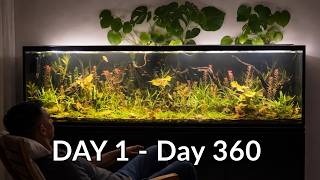 From Day 1 to Day 365: Self-Sustaining Underwater Jungle Ecosystem (Full Evolution)
