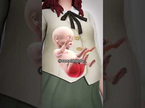 NÃO ACREDITO QUE OS BEBÊS FAZEM ISSO NA BARRIGA ! 😱