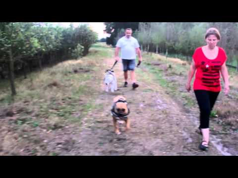 Wandeling 19815 [Witgoor Put]