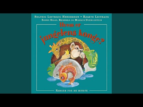 Solskinnsblues - Bjarte Leithaug