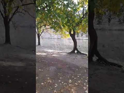 Bialet Masse, Córdoba Argentina 🇦🇷 🥰🥰🥰