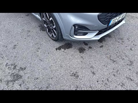 Ford Puma 1.0l Ecoboost Hybrid 155PS St-line X - Image 2