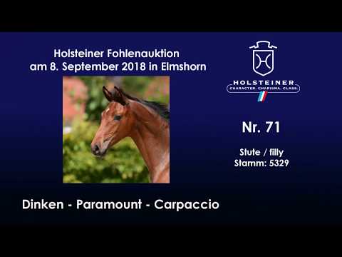 Holsteiner Fohlenauktion | Nr. 71 v. Dinken - Paramount