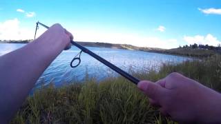 Спиннинги elite salmo jig n twitch