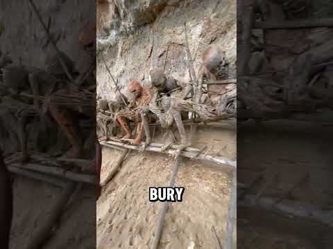 Indonesian Tribe Keep 350 Years Old Mummy 😳😟 #facts #shorts #youtubeshorts #shortsfeed #viralshorts