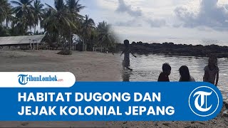 Wisata Lombok, Pantai Sunrise Land, Habitat Dugong hingga Jejak Kolonial Jepang