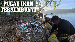 Download lagu 1 MALAM MENYELAM..,,!! TERNYATA PULAU INI BANYAK IKAN SAMPAI RUANG PERAU PENUH mp3