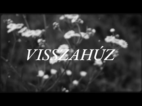 D.R.A.P - VISSZAHÚZ | (official music video)