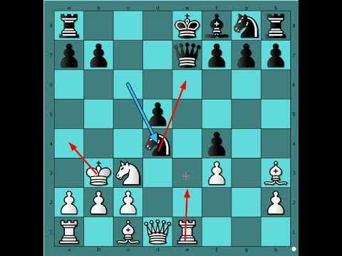 Prava prilika za protivnapad i bum‼️   ⭐⭐⭐⭐⭐ TAUBENHAUS vs HEILPERN # 2467