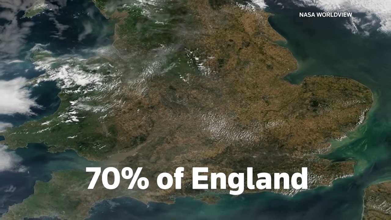 Video: Squier's Essex farm uses herbal leys to stay green amid England's 71% drought