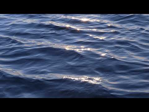 Sao Meo Orchestral Mix mp3