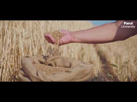 Parul University General video thumbnail 171
